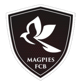 Brunos Magpie