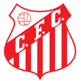 Capivariano FC SP Youth