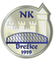 NK Brezice 1919