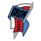 Bron Radom