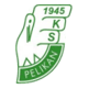 Pelikan Lowicz
