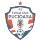 FC Pucioasa