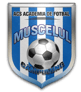 Muscelul Campulung