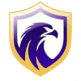 Falcon FC SE Youth
