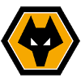 Wolves(w)