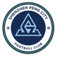 Shenzhen Peng City U21