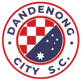 Dandenong City U23