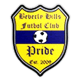 Pride of Gall Hill FC