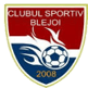 CS Blejoi