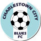 Charleston City Blues