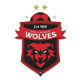 Wollongong Wolves U20