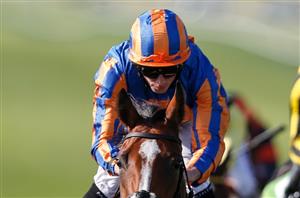 1000 Guineas Tips and Predictions