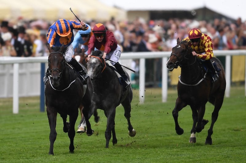 Commonwealth Cup Tips & Betting Predictions