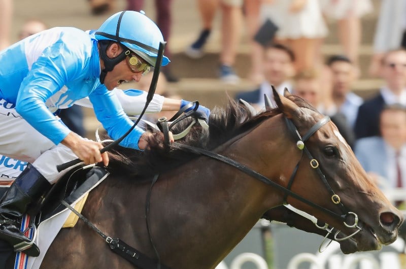 Tatt's Tiara Tips & Betting Predictions