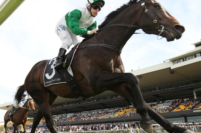 Victoria Derby Preview, Predictions & Betting Tips