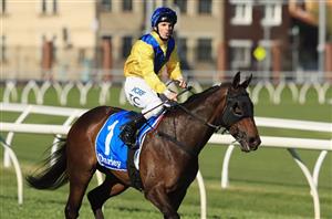 Empire Rose Stakes Preview, Predictions & Betting Tips
