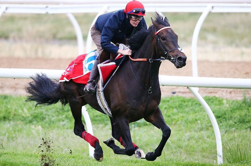 Lexus Stakes Preview, Predictions & Betting Tips