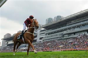 Hong Kong Cup Preview, Predictions & Betting Tips