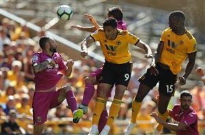 Wolverhampton vs Newcastle