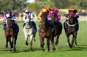 2020 J.J. Atkins - Prince Fawaz to become King in Brisbane Winter Carnival juvenile feature