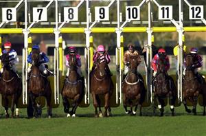 2020 Stradbroke Handicap - The Bostonian to complete the Brisbane Winter Carnival Group 1 trifecta