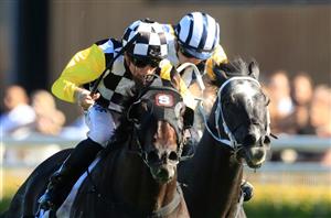 2020 Queensland Derby - Chris Waller leads Derby charge with well-backed Nobu