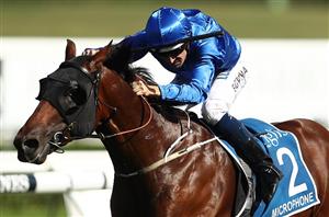 2020 Golden Rose Stakes - Exceedance to steal the show at Rosehill