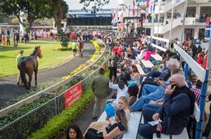 Greyville racing