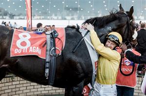 Greyville racing