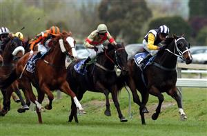 2020 Tarzino Trophy - Melody Belle looking for consecutive wins to open Hawke's Bay Triple Crown