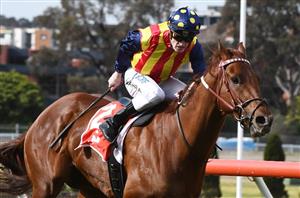 2020 Moir Stakes - Enigmatic Nature Strip to prove critics wrong at The Valley