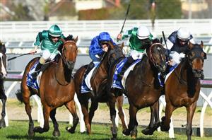 Maher/Eustace duo ready for Group 1 Memsie Stakes