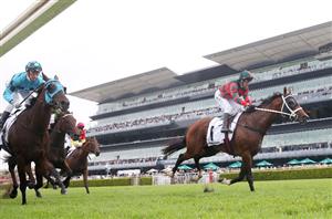 Lindsey Park yet to make a decision on Fundamentalist's target