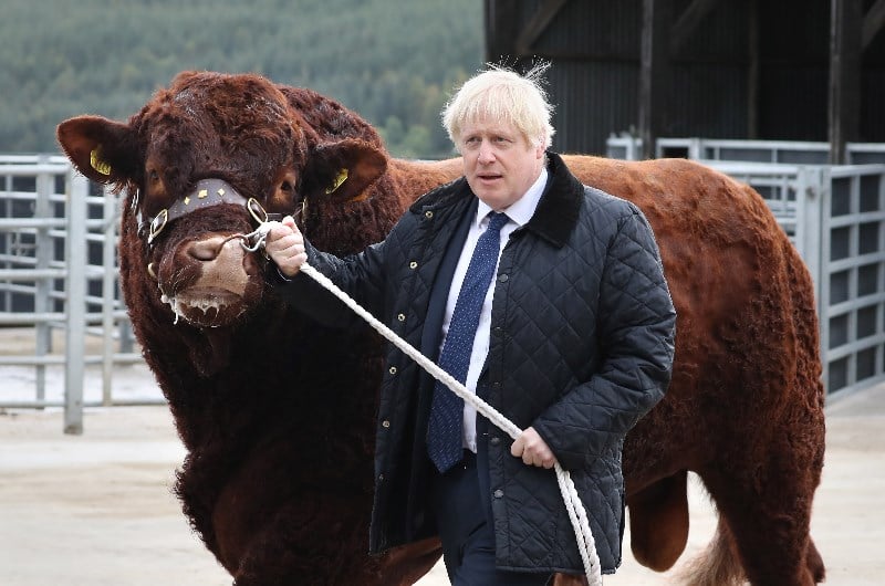 Next UK Prime Minister Betting Odds Boris odds cut