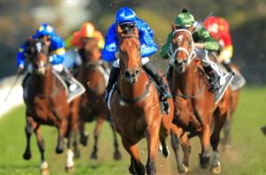 Who Is The Best Three-Year-Old In The Country?
