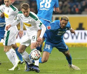 hoffenheim borussia