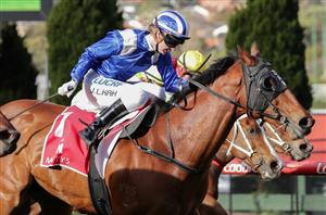 Faatinah ready for third crack at G1 Moir