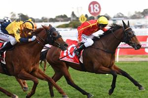 Winter Bride in order for her G1 Moir assault
