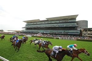 Metropolitan Scratching - Supernova To Miss G1 For Melbourne