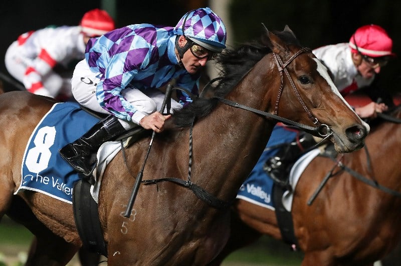 2019 Empire Rose Futures Tips & Best Bets