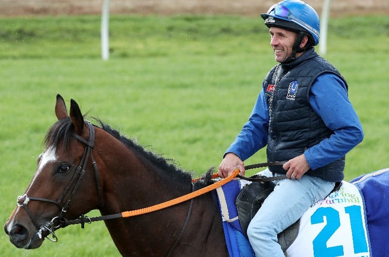 Horses For The Blackbook From Caulfield Guineas Day