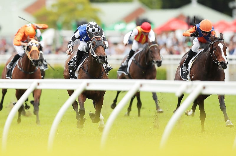 Randwick blackbook for Monday, October 14
