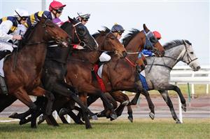 Betfair article for October 25, 2019