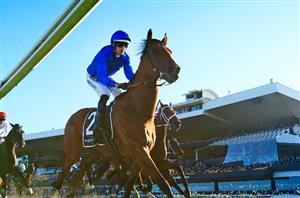 Rose winner to back-up - Bivouac a likely runner in Coolmore Stud