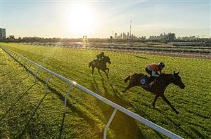 Favourite receives visitors alley - Wide draw for Melody Belle in the Empire Rose