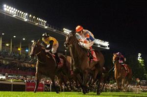 Manikato winner returns - Hey Doc to make a race return at Sandown