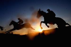 Betfair Matched & Unmatched Bets