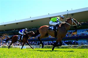 Port Macquarie Racing Tips for October 9