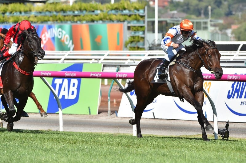 Ascot Racing Tips for 30.11.2019
