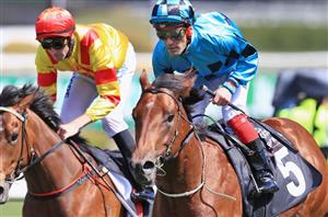 Maher Colt A Traveller - Williams is happy to head west for Dubious